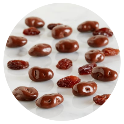 Bulk Chocolate Covered Raisins