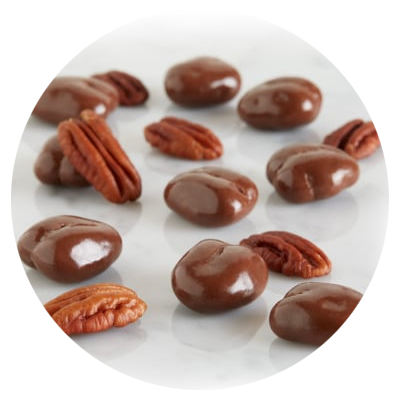 Bulk Chocolate Covered Pecans